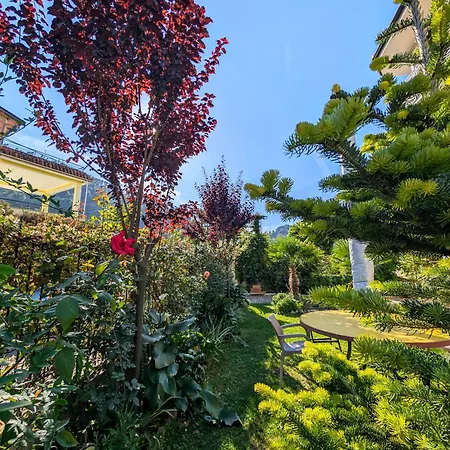 With Garden & Balcony Apartment Berat