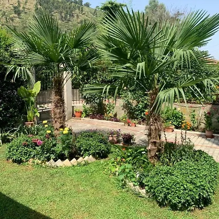 With Garden & Balcony דירה