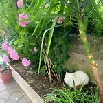 With Garden & Balcony Appartement Berat